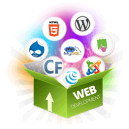 Website & Software Development