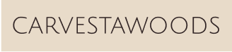 footer-logo