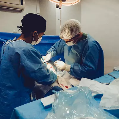 Doctors and nurses working in a hospital