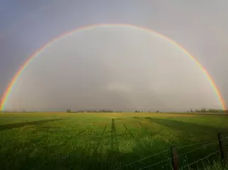 Rainbow